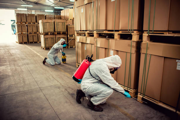 Professional Pest Control in Milwaukee, WI