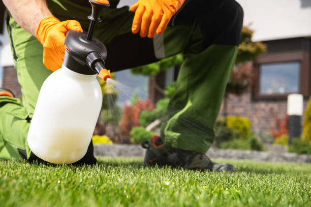 Best Pest Control Near Me in Milwaukee, WI