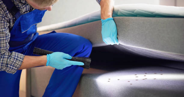 Best Residential Pest Control  in Milwaukee, WI