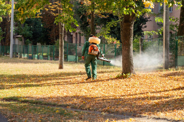 Best Rodent Control Near Me  in Milwaukee, WI