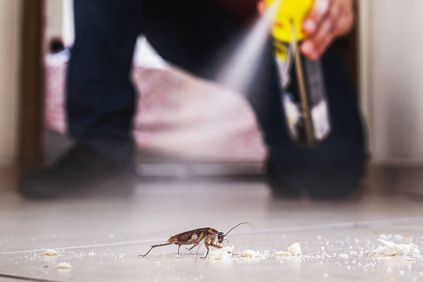 Best Commercial Pest Control Services  in Milwaukee, WI