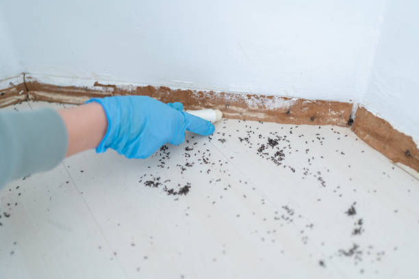 Wildlife Control Services in Milwaukee, WI